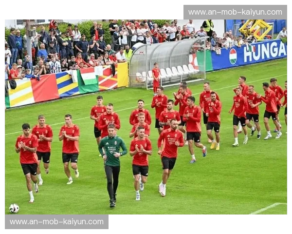 绿茵之巅的铁血较量：爱尔兰vs奥地利，谁能在这场“硬汉博弈”中突围？